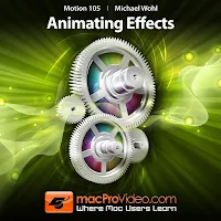 Animating Effect Course for Motion