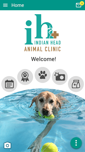 IH Animal Screenshot 0