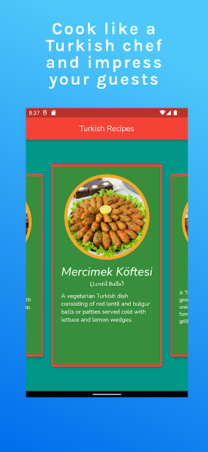 Turkish Recipes Screenshot 2