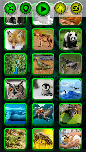 Animal sounds funny Screenshot 2