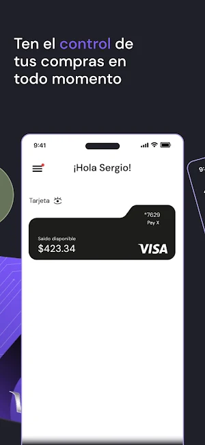 Pay X Screenshot 1