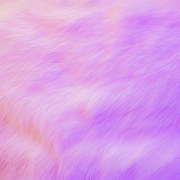 Fantasy Fur Theme +HOME