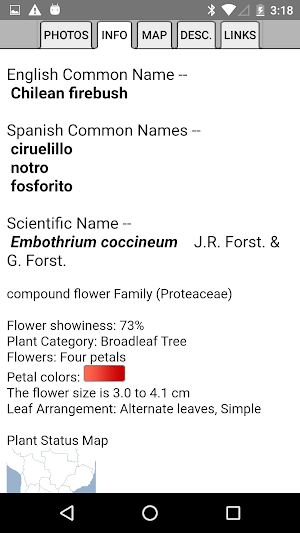 Argentina Wildflowers Screenshot 3