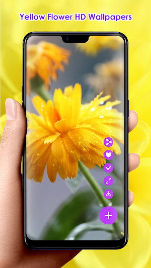 Yellow Flower HD Wallpapers Screenshot 1