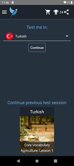 Turkish Language Tests Screenshot 0