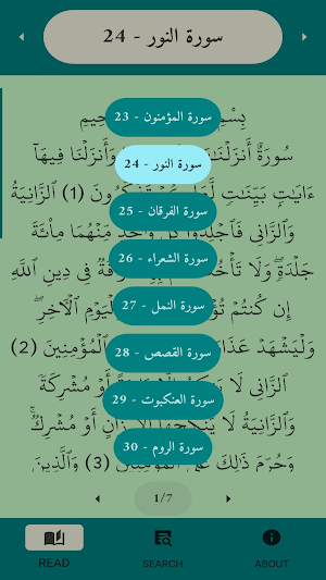 Quran Insights Screenshot 1