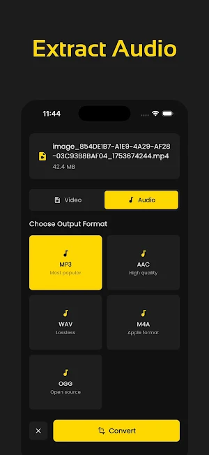 Video Converter - VidConv Screenshot 2
