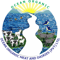 Ocean Organic Milk