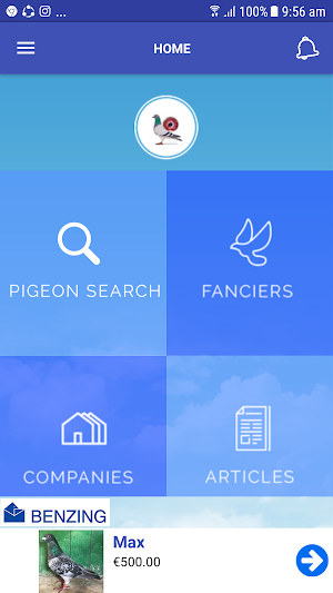 Pigeon Market Screenshot 1