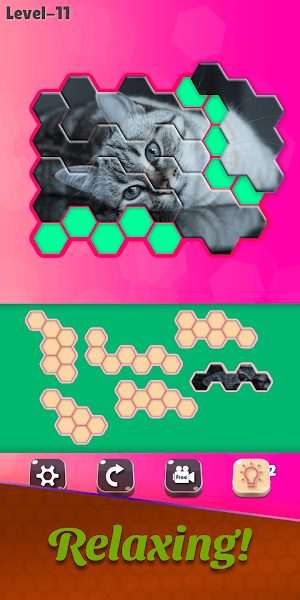 Block Hexa Puzzle - Cats Jigsaw Screenshot 3