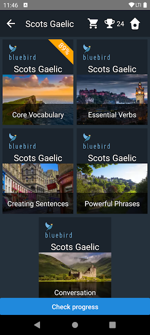 Scots Gaelic Language Tests Screenshot 2