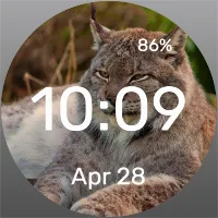 Unhappy Cat - Watch Face