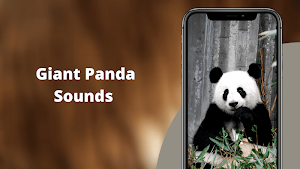 Panda Sounds Screenshot 0