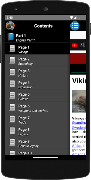 Vikings - History Screenshot 0