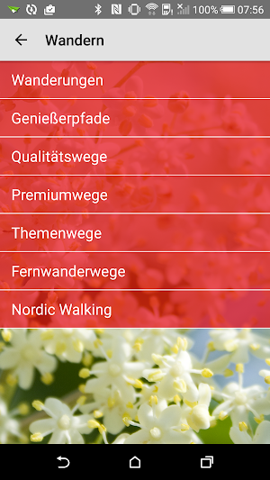Schwarzwald Screenshot 1