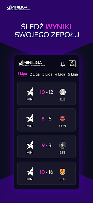 Miniliga Screenshot 2