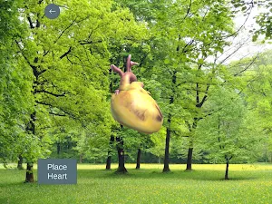 UMN Heart Screenshot 2