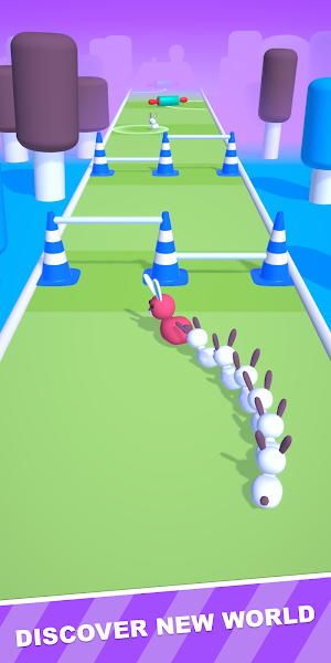 Pet Run 3D Screenshot 3