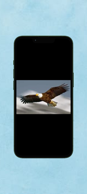 Elang WalL Screenshot 1