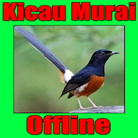 Master Bird Chirping