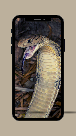 Snake Ringtone Screenshot 2