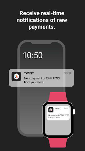 TWINT Business Portal Screenshot 2