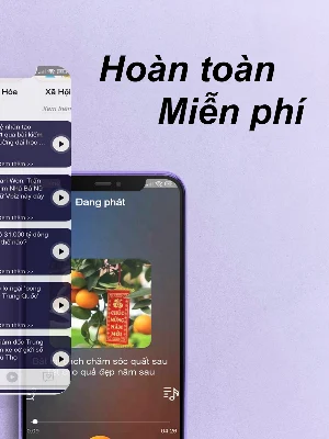 Radio Việt Nam - tin tức 24h Screenshot 1