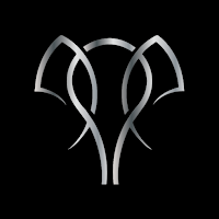 Robust Fitness