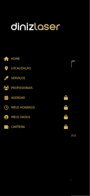 Diniz Laser Screenshot 1