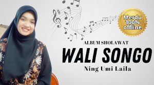 Wali Songo - Umi Laila Screenshot 0