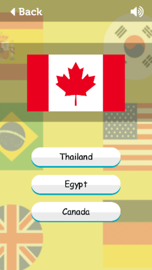 Flag master Screenshot 3