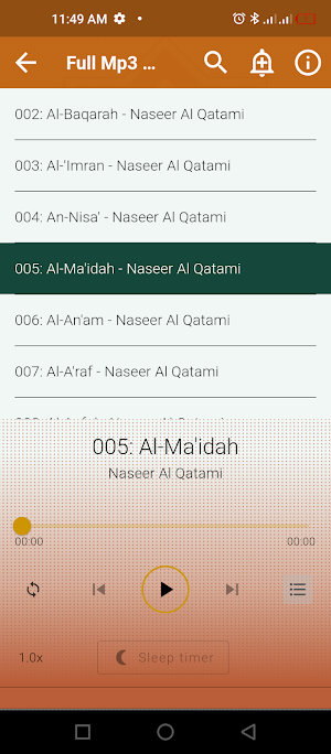 Nasser Al Qatami Quran Offline Screenshot 3