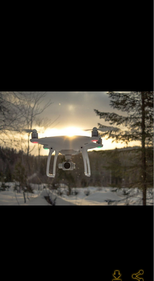 dji phantom 4 user manual Screenshot 2