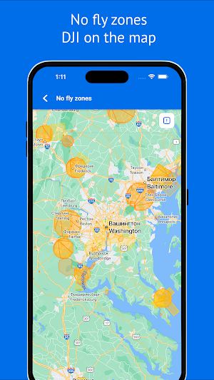 FlyerApp: Forecast and tools Screenshot 3