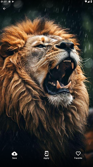Lion Wallpapers Screenshot 0