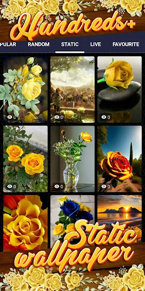 yellow rose wallpaper Screenshot 3