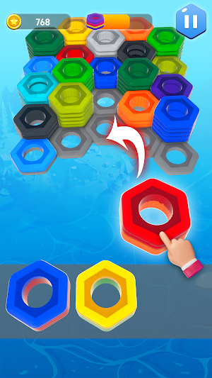 Hexa 3D Nuts: Sort Game Screenshot 0