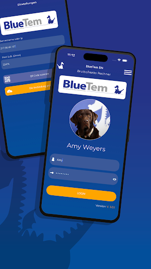 BlueTem - Brutto Netto Rechner Screenshot 2