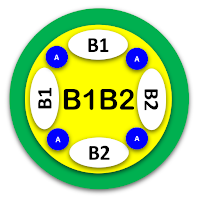 brief schreiben b1 b2