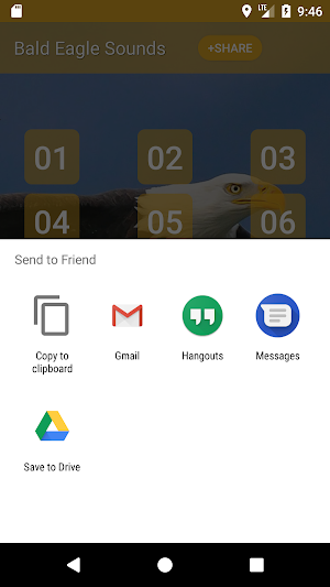 Bald Eagle Sounds Screenshot 2