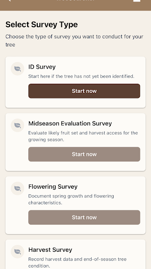 Tree Searcher Screenshot 3