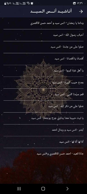 انس السيد بدون نت اغاني اناشيد Screenshot 2