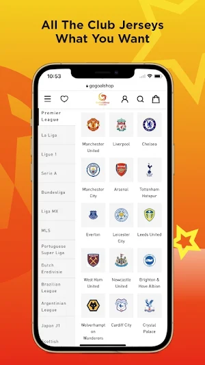 Gogoalshop Screenshot 2