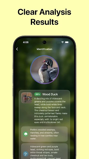 Bird Identifier Screenshot 2