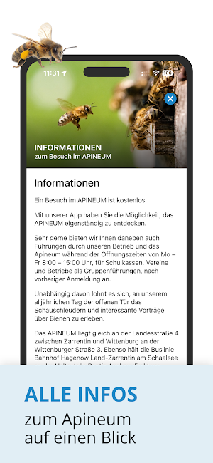 Apineum Screenshot 3