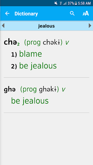 Mungong Dictionary Screenshot 3