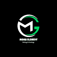 MONA ELGNEDY