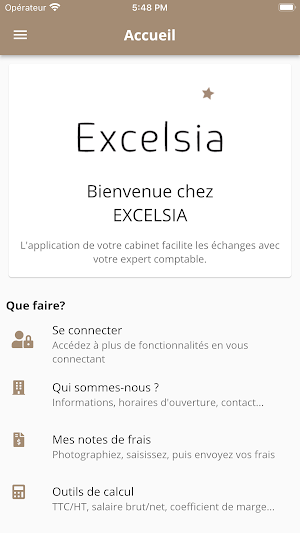EXCELSIA AUDIT Screenshot 0
