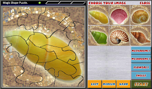 Magic Shape Puzzle 2 Screenshot 3