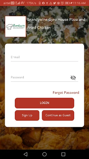 Brandywine Gyro House Pizza and Fried Chicken Screenshot 0